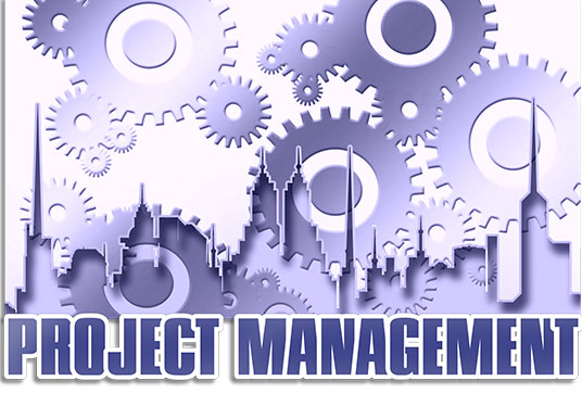 Setting Up and Stabilizing Project Management Office (PMO)