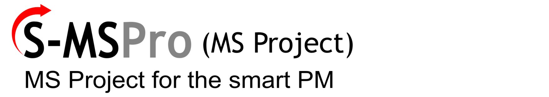 MS Project