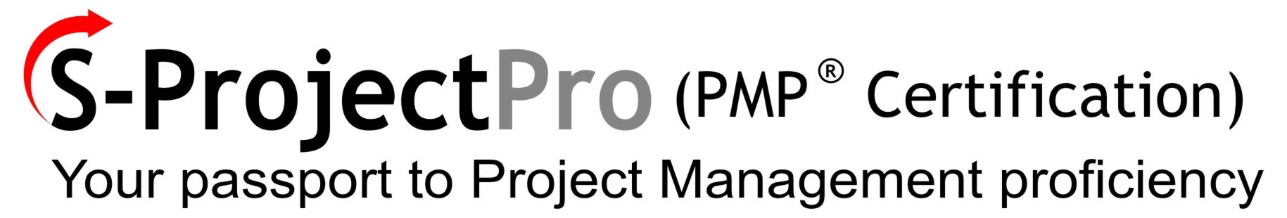 Professional Project-Management  (Version 2.0) (PMP® Certification)